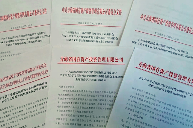 高位統(tǒng)籌 聯(lián)動(dòng)推進(jìn)——青海國(guó)投黨委主題教育高質(zhì)量開(kāi)局起步