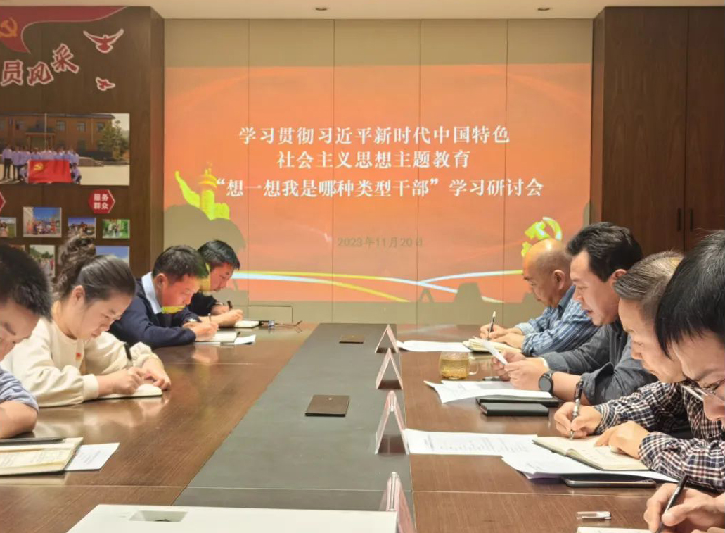 青海國投及所屬各單位扎實開展“想一想我是哪種類型干部”思想大討論