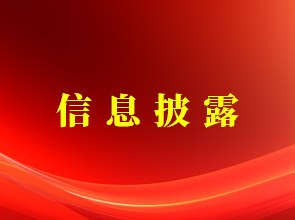 青海省國有資產(chǎn)投資管理有限公司2023年三季度財務(wù)報表