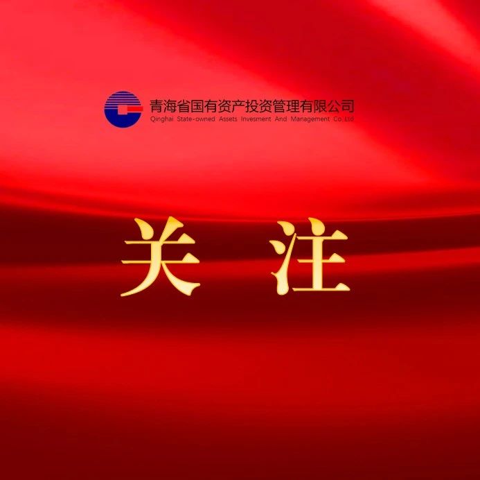 “十五五”發(fā)展規(guī)劃編制服務(wù)機構(gòu)選聘項目 （項目名稱）招標公告