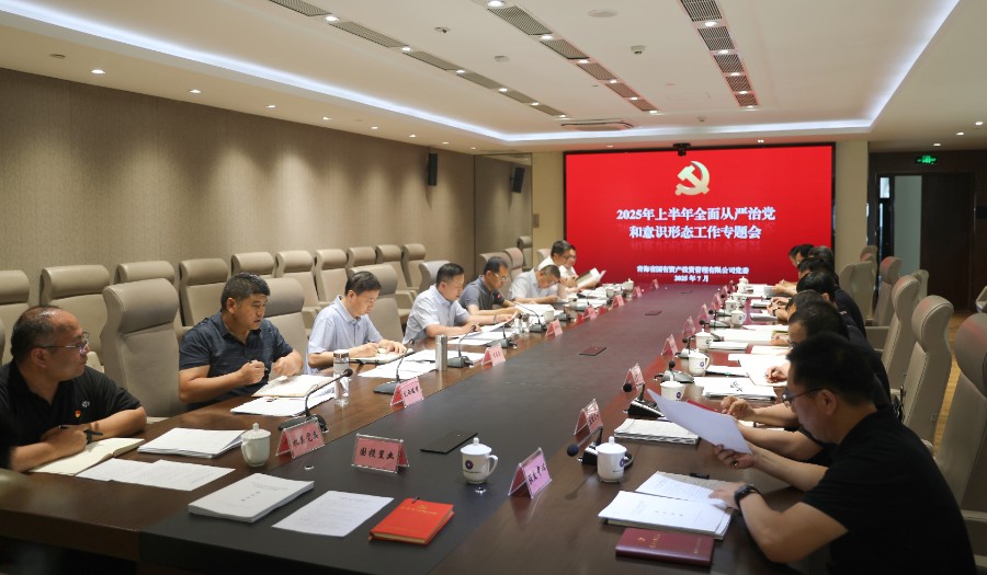 青海國(guó)投黨委召開2025年上半年全面從嚴(yán)治黨和意識(shí)形態(tài)工作專題會(huì)議