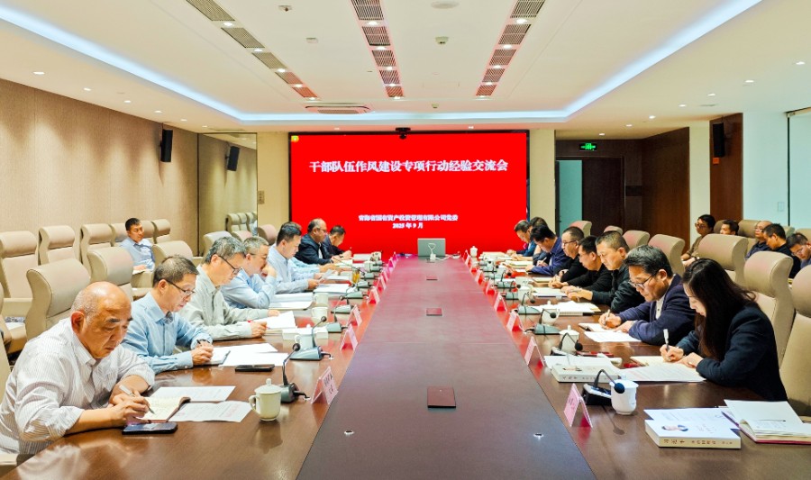 青海國(guó)投黨委召開(kāi)干部隊(duì)伍作風(fēng)建設(shè)專(zhuān)項(xiàng)行動(dòng)工作經(jīng)驗(yàn)交流會(huì)